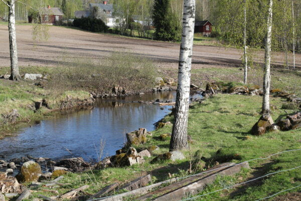 Planering av omlöp, Lysan